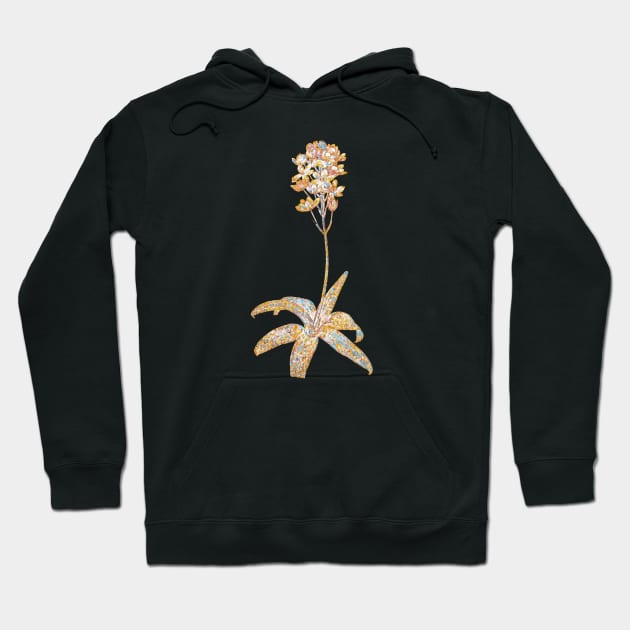 Gold Prism Mosaic Sun Star Botanical Illustration Hoodie by Holy Rock Design